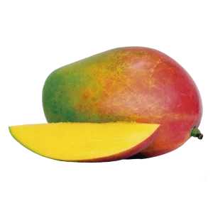 Mangue